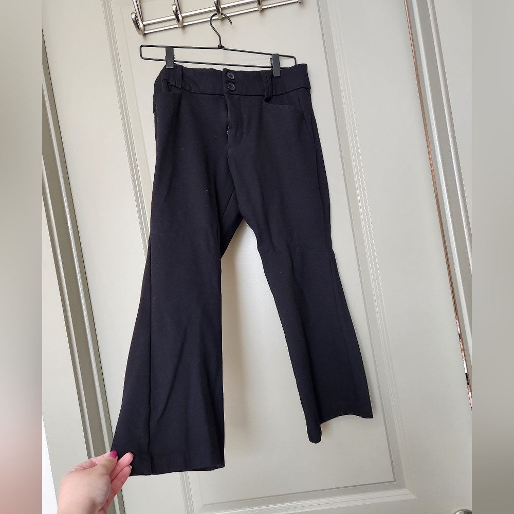 Torrid Studio Pants Extra Short